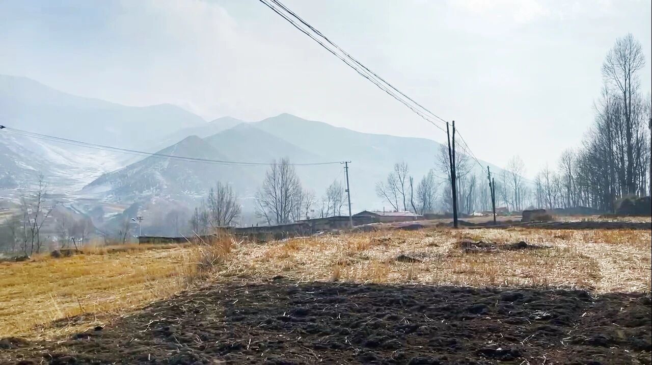 微信图片_2025-09-29_165113_848.jpg
