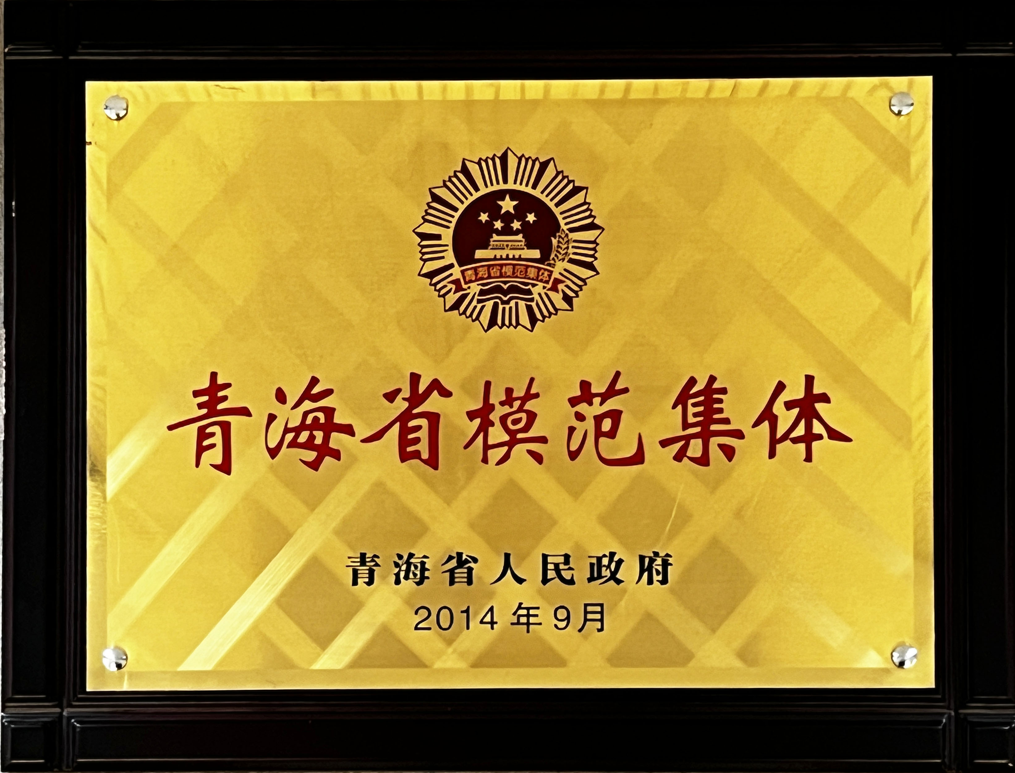 08-精建-青海省圭表集体.jpg